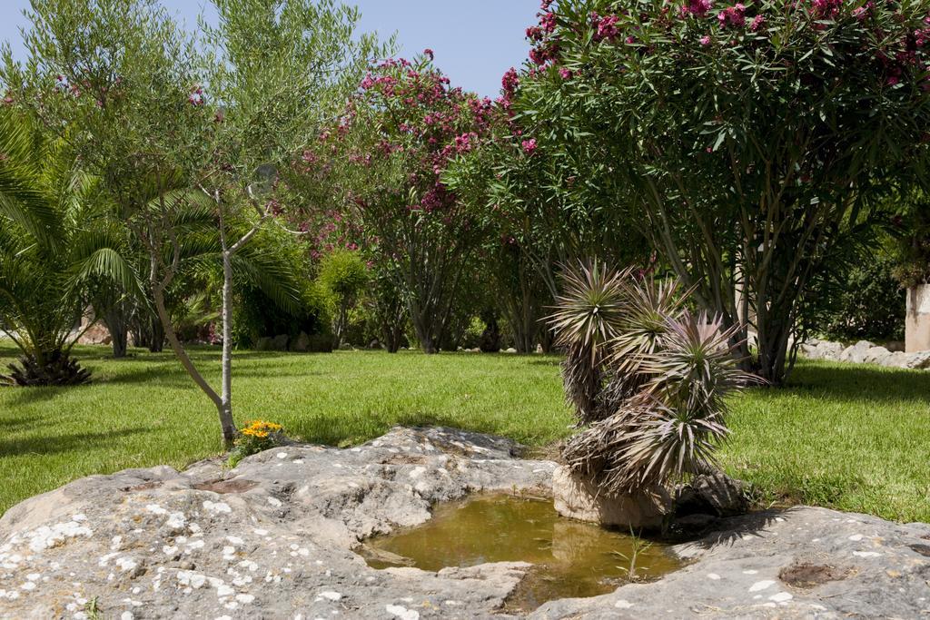 Maison d'hôtes Agroturismo Can Patro à Manacor  Extérieur photo