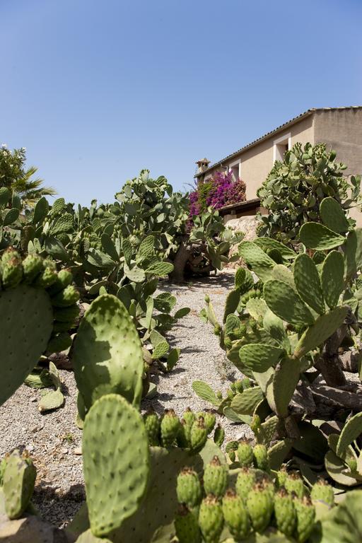 Maison d'hôtes Agroturismo Can Patro à Manacor  Extérieur photo