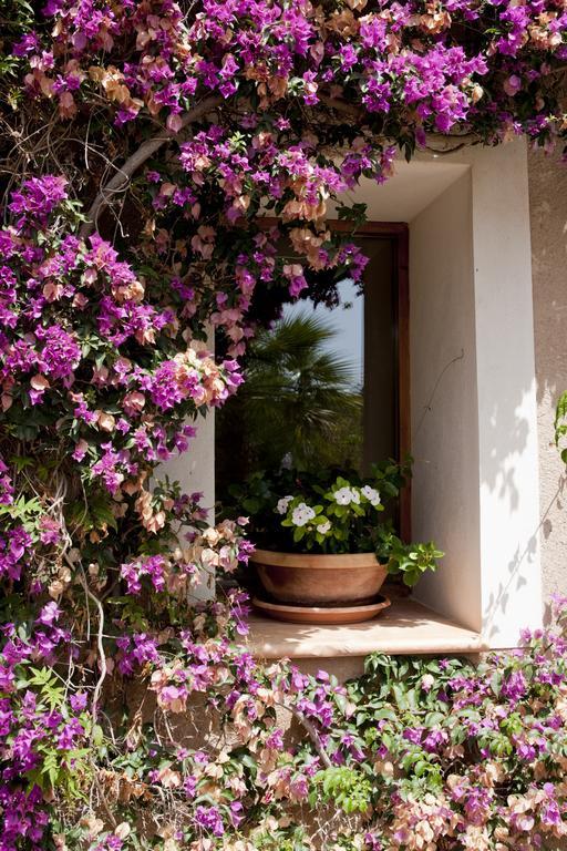 Maison d'hôtes Agroturismo Can Patro à Manacor  Extérieur photo