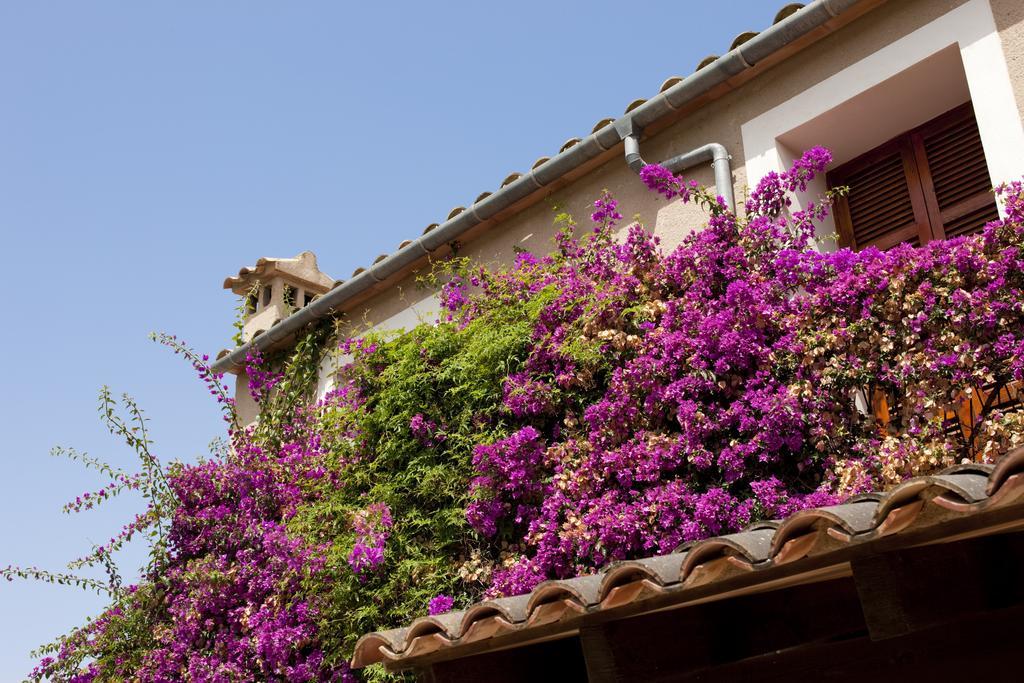 Maison d'hôtes Agroturismo Can Patro à Manacor  Extérieur photo